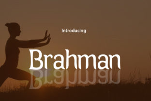 Brahman: A Script for Business Style