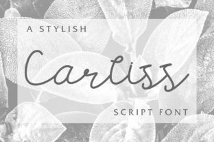 Carllis: The Handwritten Script Font That Boosts Your Campaign's Clarity