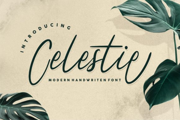 Celestie: Elegant Script Font for Digital Marketing