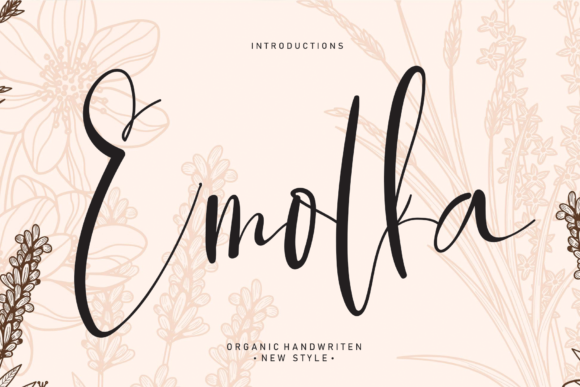 Emolka: A Script Font for Real-World Design