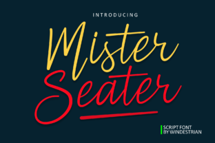 Mister Seater: A Playful Script Font